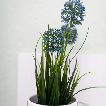 דירה Haus Coordes 02