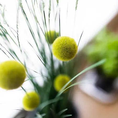 דירה Haus Coordes 02 *